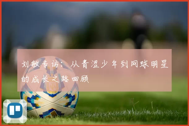 刘敏专访：从青涩少年到网球明星的成长之路回顾